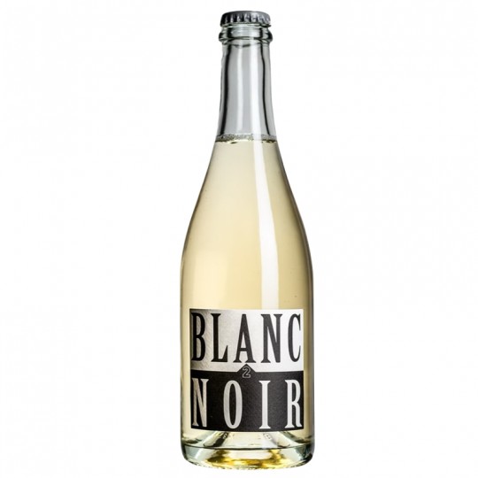 Domaine SYLVAIN BRUNEAU - BLANC 2 NOIR