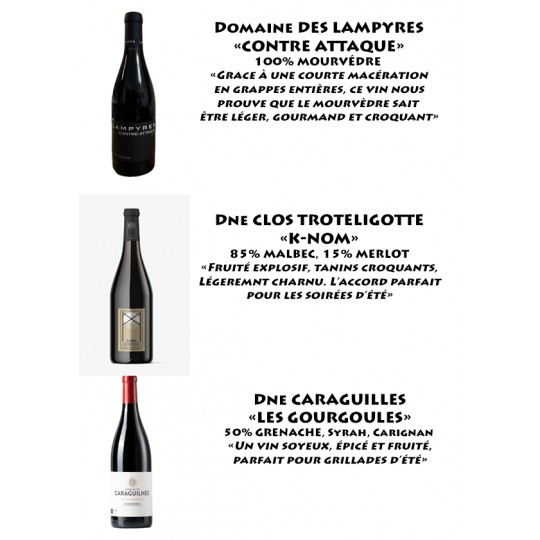 COLIS DECOUVERTE - VINS ROUGES D'ÉTÉ